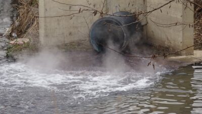 Bursa’da dereler zehir akıyor, bu yıl da müsilaj tehdidi kapıda