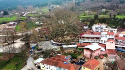 Bursa’nın simgesi… Özel bakımla korunuyor