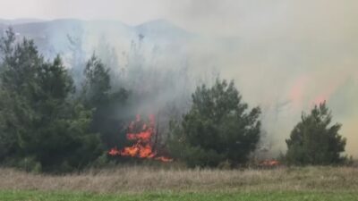 Bursa’da orman yangını