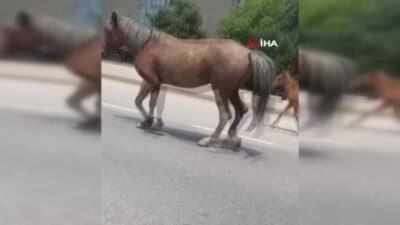 Bursa’da trafiği felç ettiler