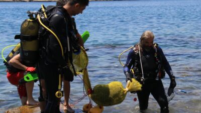 Akdeniz’de büyük korku! İstila hızı yüzde 108