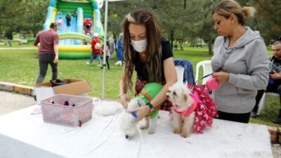 Bursa’da kedi ve köpekler podyumu süsledi