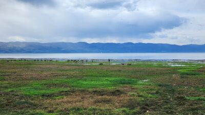 Bursa’da göller kuruyor! İznik’de korkutan görüntü…