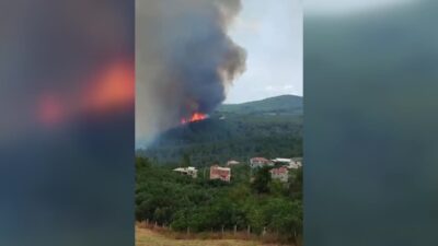 Bursa’da orman yangını! Müdahale sürüyor