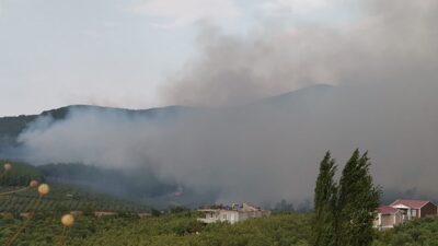 Bursa’da orman yangını!