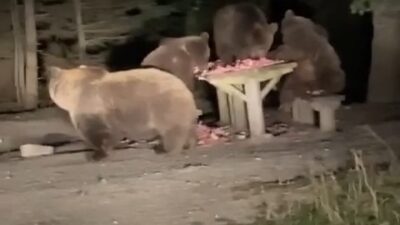 Mekanları basınca, mekan sahipleri onlara böyle ziyafet çekti