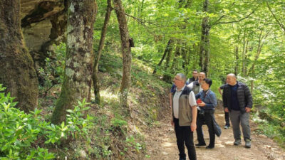 Bursa’da ‘Terapi Ormanı’ hamlesi