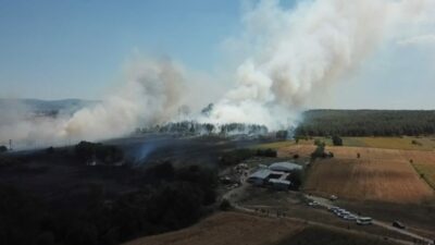 Bursa’da anız yangını ormana sıçradı