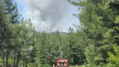 Bursa’da orman yangını…Uçaklar ve helikopterler sevk edildi