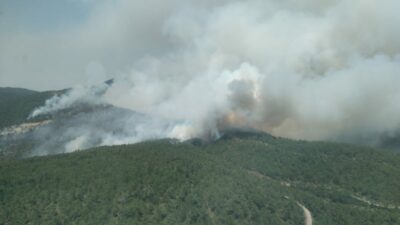 Orman Genel Müdürlüğü’nden Bursa’daki yangınla ilgili paylaşım