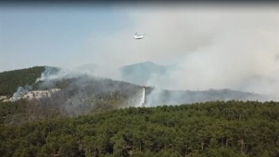 Bursa’daki orman yangınına soruşturma