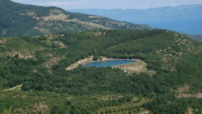 Bursa’da çiftçiyi sevindiren gelişme