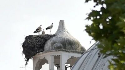 Bursa’nın bu belediyesinden ilçe halkına çağrı!