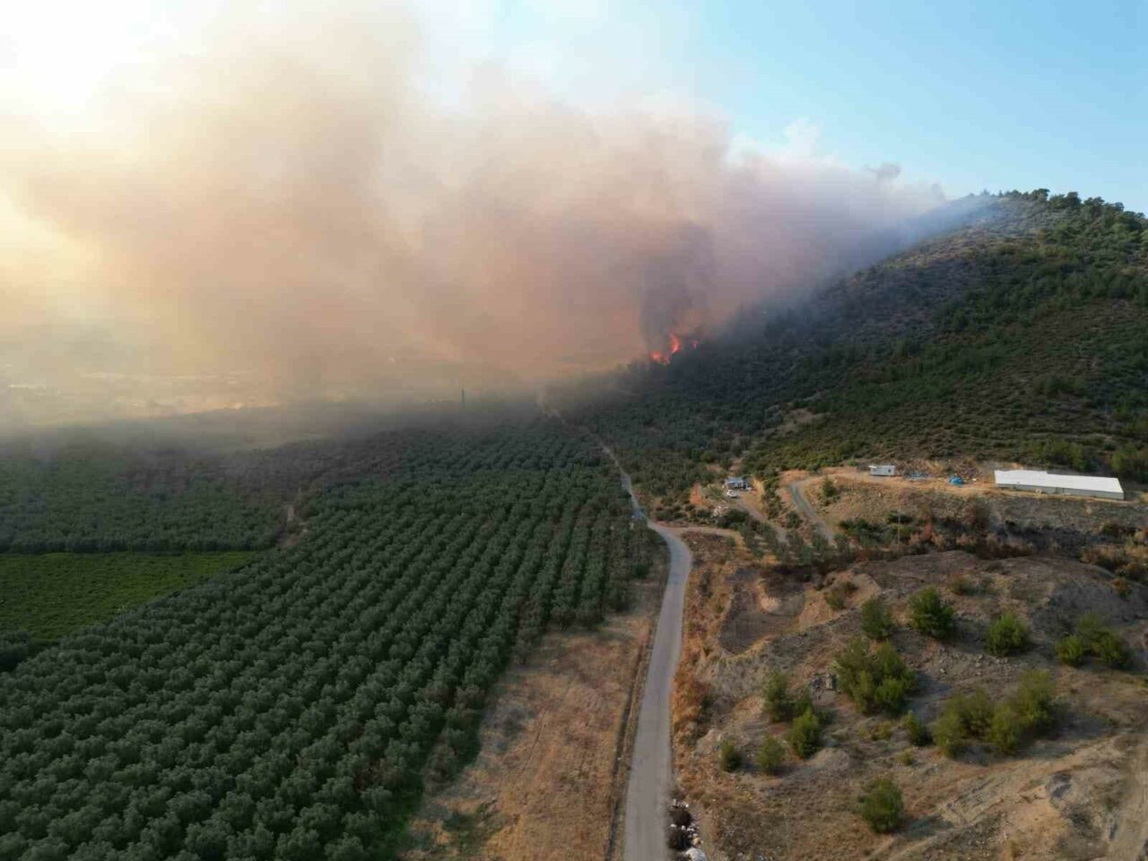 Bursa’daki orman yangınıyla ilgili Vali Demirtaş’tan açıklama