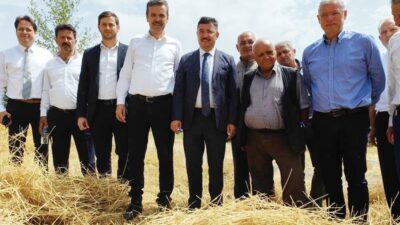 Mudanya’da buğdayın hasat zamanı