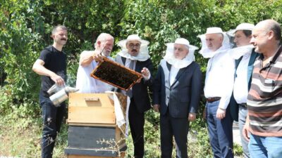 Bursa’nın o ilçesi bal üretiminde vites yükseltti