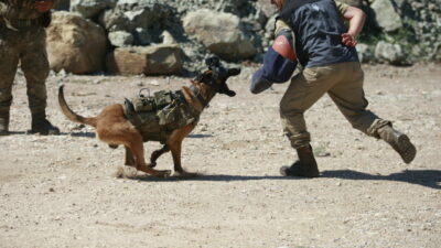 TSK’nın eğitimli köpekleri için tasarlandı! Bursa’da test edildi