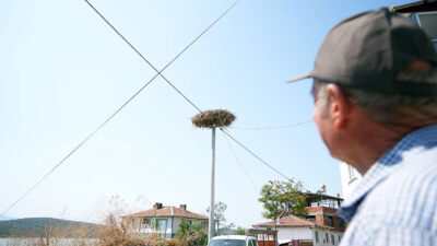 Bursa’da Yaren leylek göç yoluna çıktı! Adem amca: Alışmak zorundayız