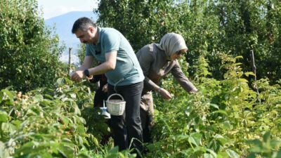 Bursa’da tarladan sofraya kadın eli