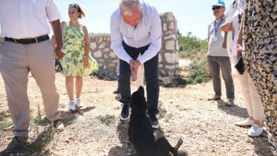 Bursa’da sokak hayvanları için hazırlanan projeyi Başkan Özdemir inceledi