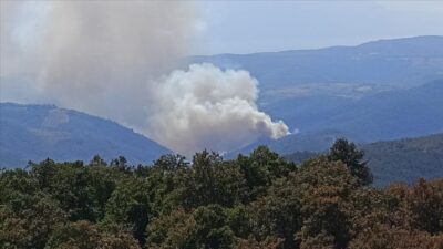 Bursa’da orman yangını