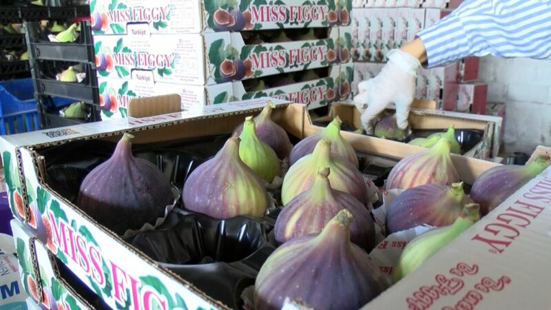 Bursa’nın tescilli markası Avrupa yolculuğuna çıkıyor