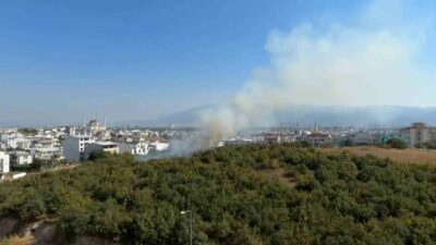 Bursa’da torpille oyun kötü bitti