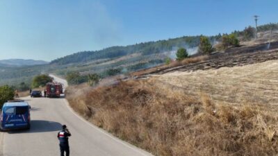 Bursa’da orman yangını