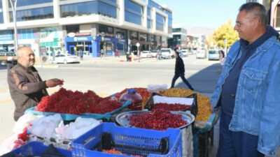 Kalpteki tüm damarları açıyor! Böbrek taşını düşürüyor…