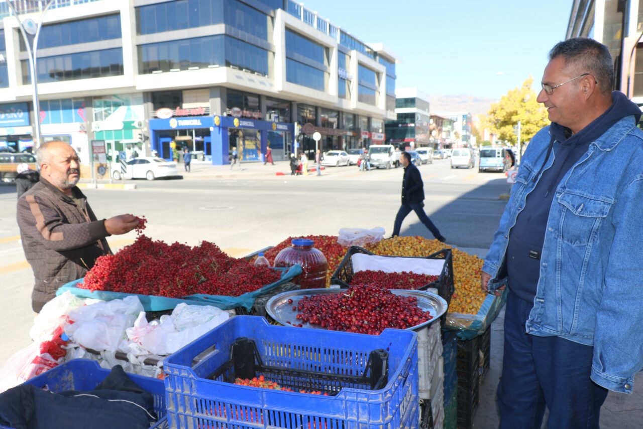 Kalpteki tüm damarları açıyor! Böbrek taşını düşürüyor…