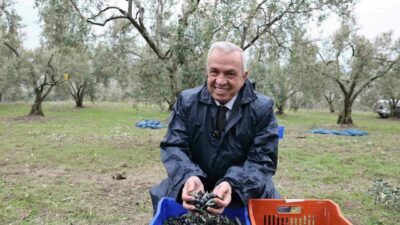 Başkan Şadi Özdemir, zeytin hasadına katıldı