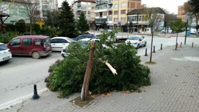 Bursa’da lodos kâbusu