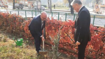 Bursa’daki kritik göreve zeytin dikerek başladı