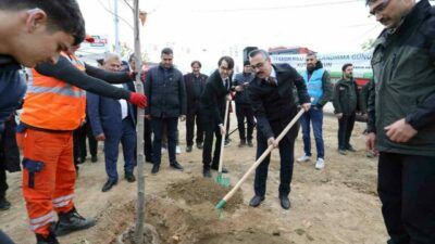 Bursa İnegöl’de fidanlar toprakla buluştu