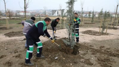 Bursa İnegöl’de 167 fidan engelliler için toprakla buluştu