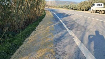 Bursa’da yolda görenler hayrete düştü!