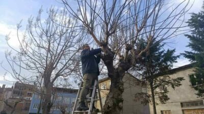 Bursa Gemlik’te park ve yeşil alanlarda bakım sürüyor