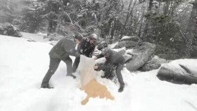 Uludağ’da yaban hayvanları için hummalı çalışma