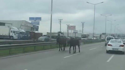 Görüntüler Bursa’dan… Trafiği tehlikeye düşürdüler